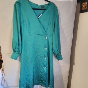 Ann Taylor Turquoise Long Sleeve Dress with Floral Buttons